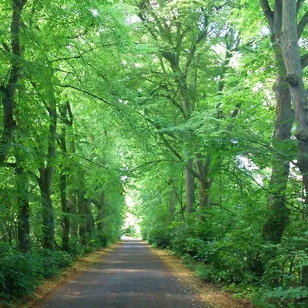 Dworek Swidwie, Gorny & Harcowka ファームステイ Tanowo