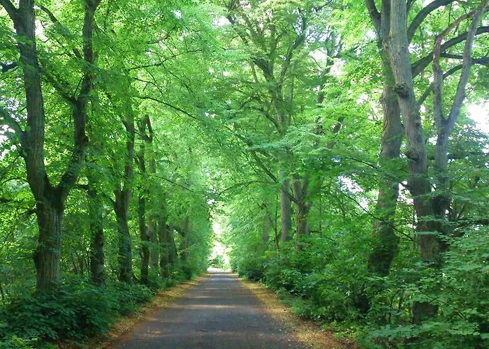 Dworek Swidwie, Gorny & Harcowka ファームステイ Tanowo