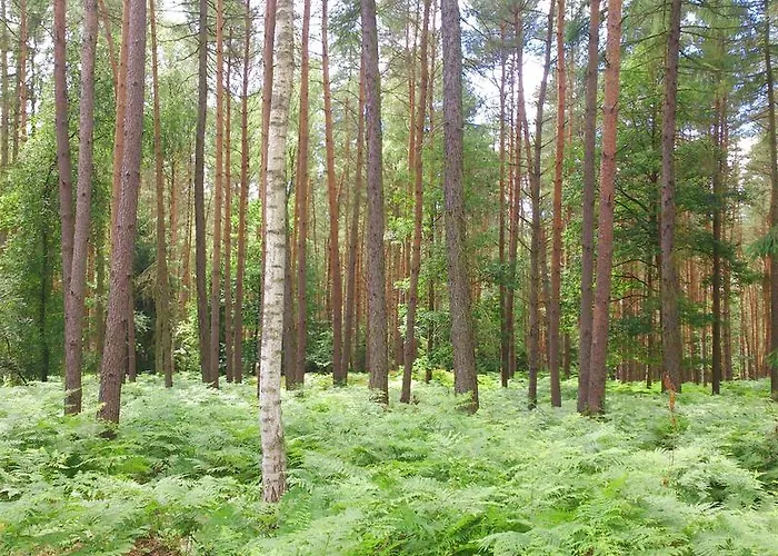 Dworek Swidwie, Gorny & Harcowka