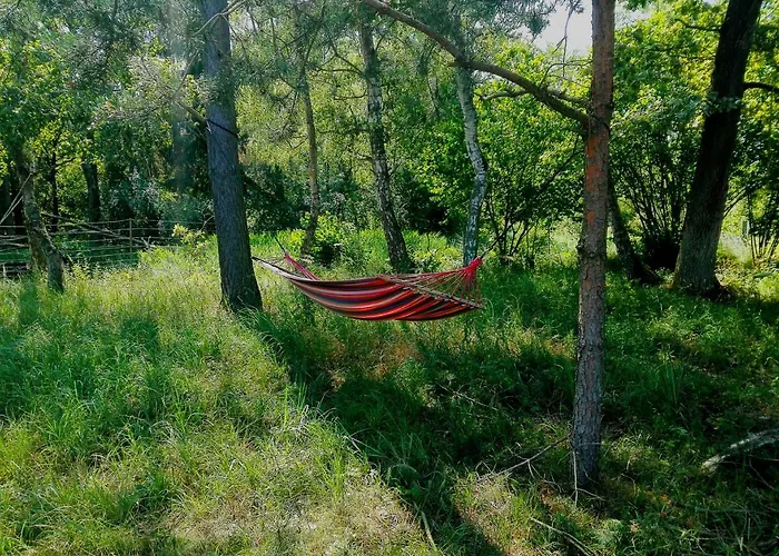 Dworek Swidwie, Gorny & Harcowka ファームステイ Tanowo